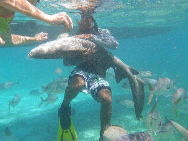 Picdump 118 - #60 