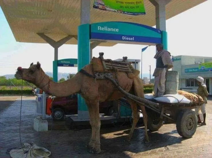 Picdump 935 - #12 