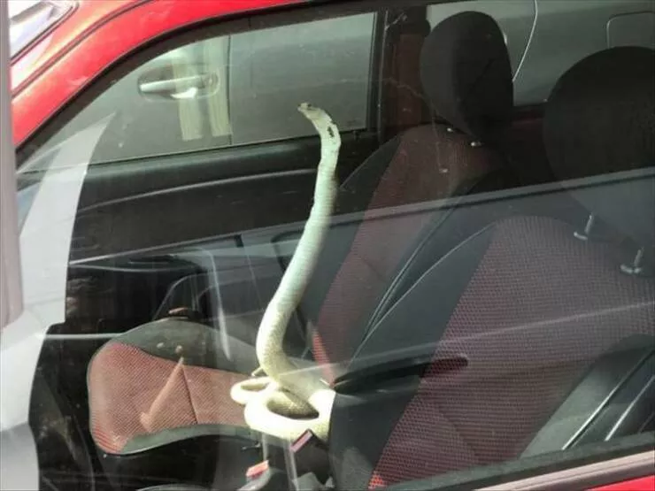 Picdump 935 - #8 