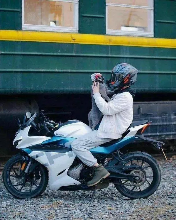 Picdump 937 - #11 