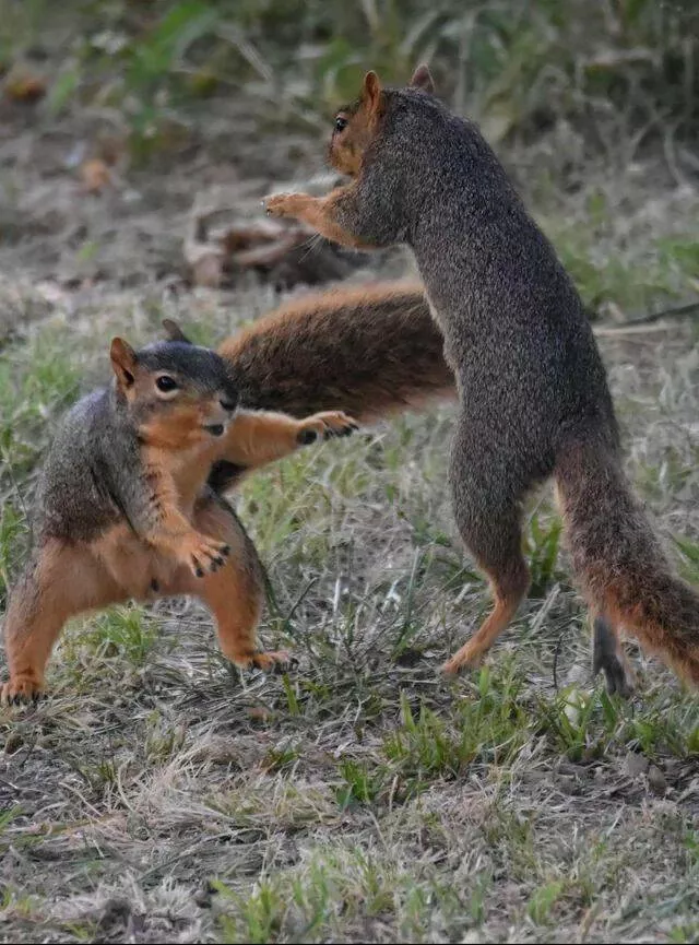 Picdump 937 - #31 