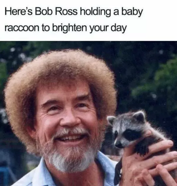 Your daily boost of positivity and heartwarming vibes - #1 