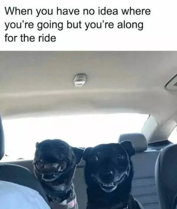 Your daily boost of positivity and heartwarming vibes - #11 