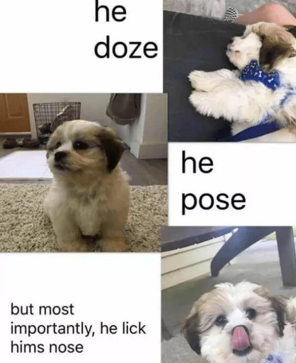 Your daily boost of positivity and heartwarming vibes - #12 