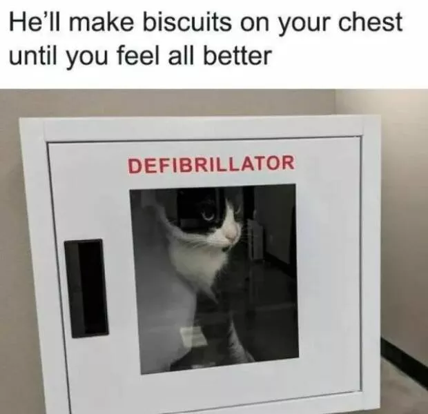 Your daily boost of positivity and heartwarming vibes - #13 