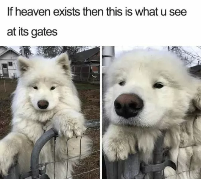 Your daily boost of positivity and heartwarming vibes - #15 