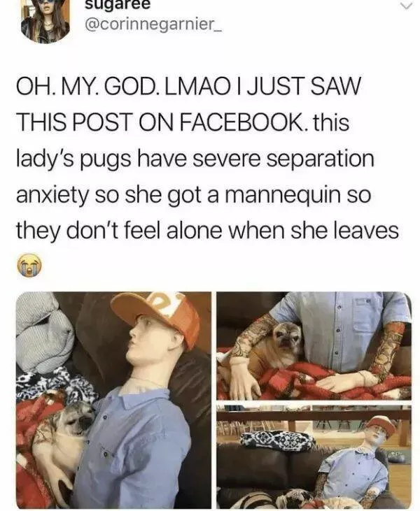 Your daily boost of positivity and heartwarming vibes - #18 