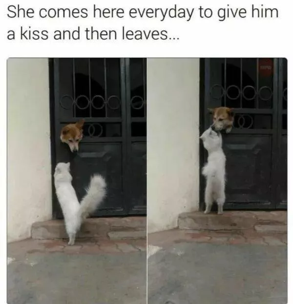 Your daily boost of positivity and heartwarming vibes - #23 