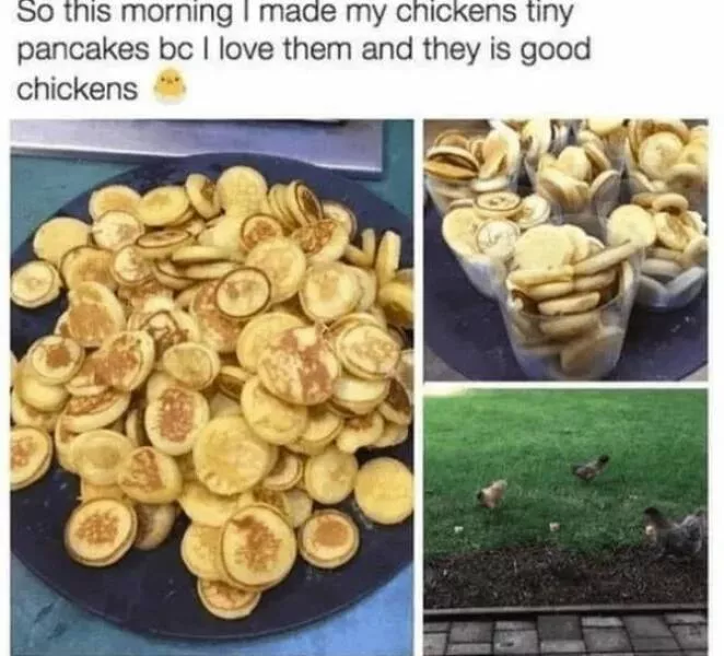 Your daily boost of positivity and heartwarming vibes - #25 