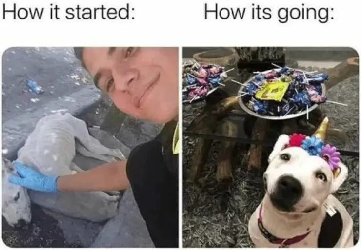 Your daily boost of positivity and heartwarming vibes - #26 