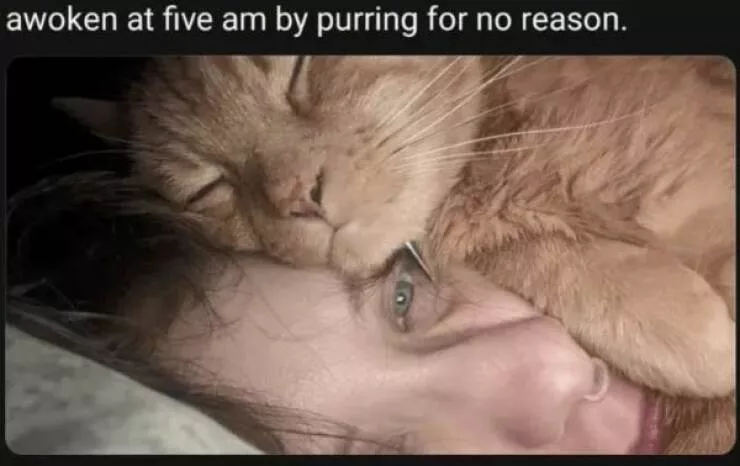 Your daily boost of positivity and heartwarming vibes - #5 