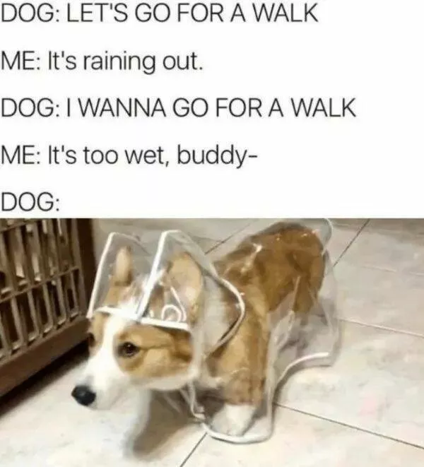 Your daily boost of positivity and heartwarming vibes - #8 