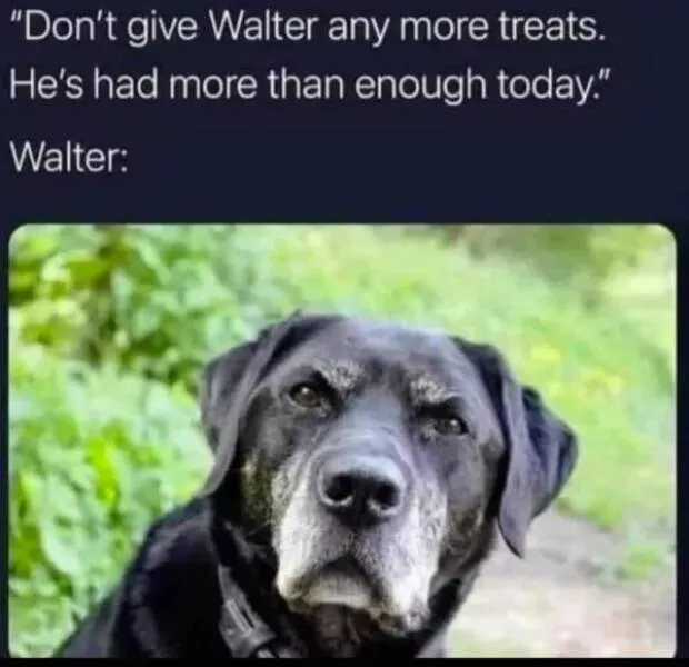 Your daily boost of positivity and heartwarming vibes - #9 