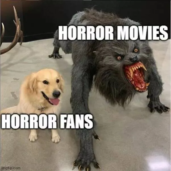 Terrifyingly funny memes every horror fan will love - #24 Terrifyingly funny memes every horror fan will love - #24