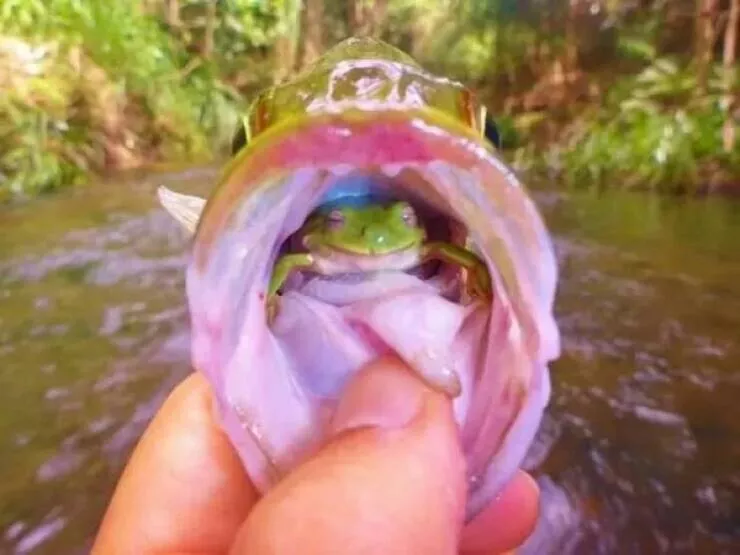 These hilarious animals will brighten your day - #10 