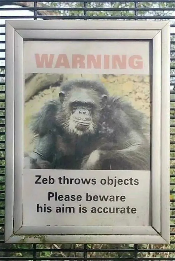 These hilarious animals will brighten your day - #12 