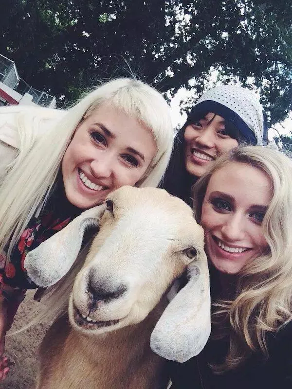 These hilarious animals will brighten your day - #17 