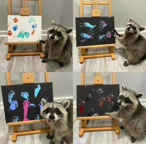 Ces animaux hilarants qui egayeront votre journee - #26 
