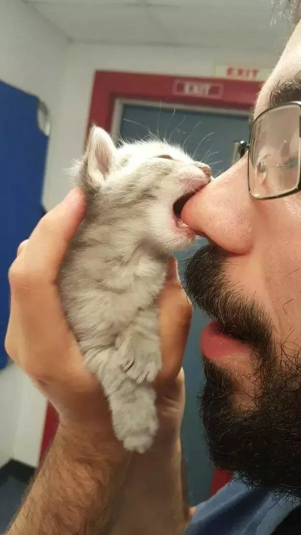 Ces animaux hilarants qui egayeront votre journee - #3 
