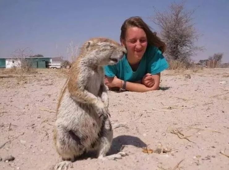 Ces animaux hilarants qui egayeront votre journee - #30 