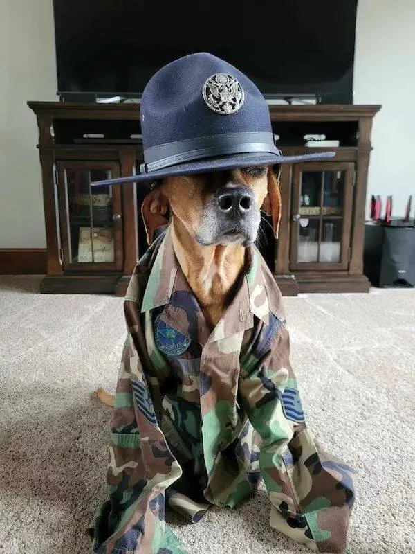 These hilarious animals will brighten your day - #34 