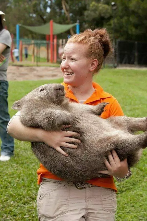 Ces animaux hilarants qui egayeront votre journee - #35 