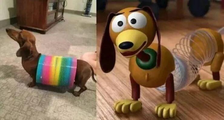 These hilarious animals will brighten your day - #4 
