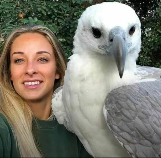 These hilarious animals will brighten your day - #7 