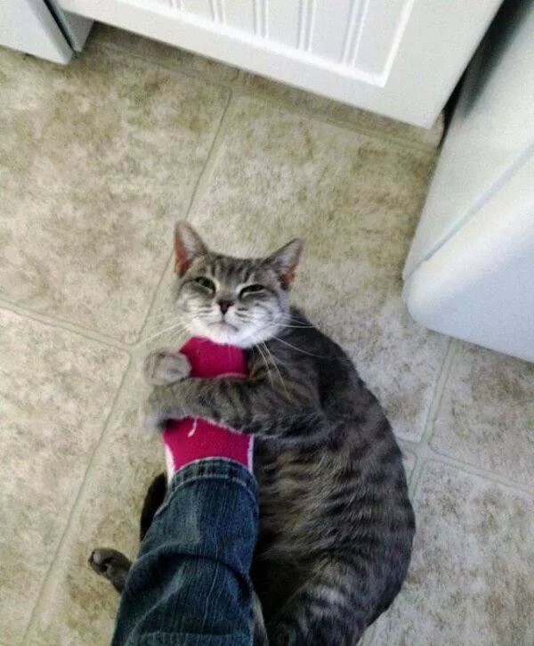 Picdump 938