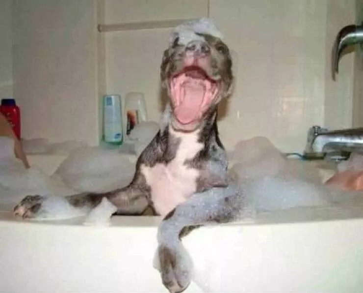Picdump 938 - #7 