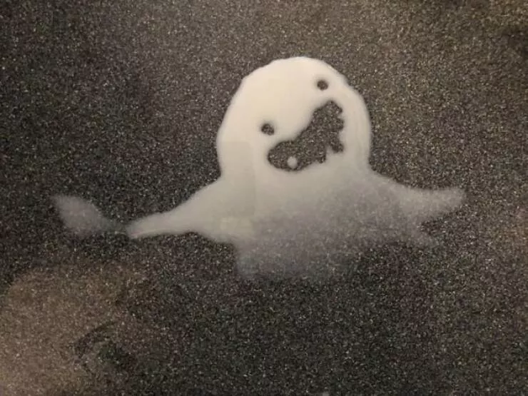 Intriguing photos that will instantly capture your attention - #12 Spilled Milk Formed A Puddle That Looks Like A Funny Ghost!