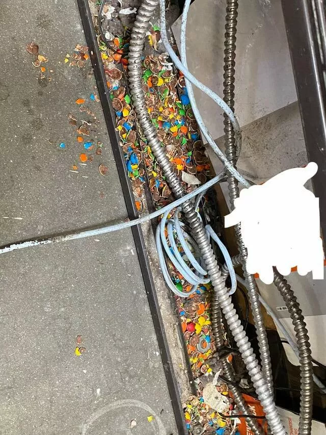 Intriguing photos that will instantly capture your attention - #17 Rats Stole My Peanut M&Ms And Only Ate The Peanuts