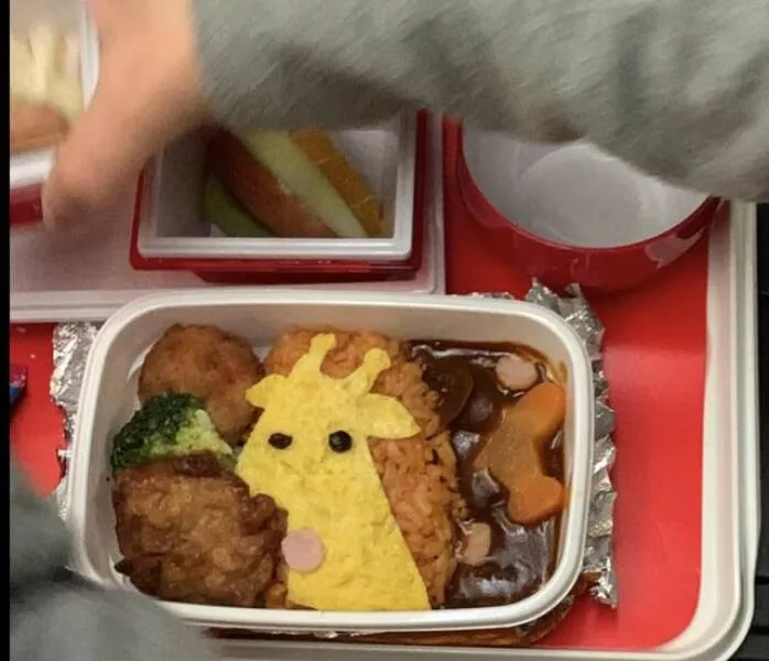 Intriguing photos that will instantly capture your attention - #2 My Kids' Meal On A Japan Airlines Flight Had An Egg Giraffe And Airplane-Shaped Carrots