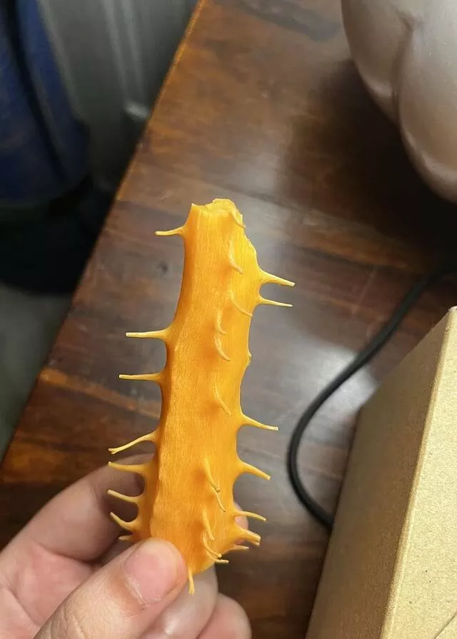 Intriguing photos that will instantly capture your attention - #21 The Spiky Core of a Carrot I Just Ate Was Surprisingly Sharp