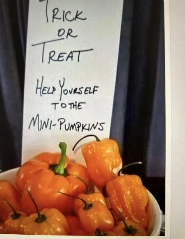 Picdump 939 - #29 