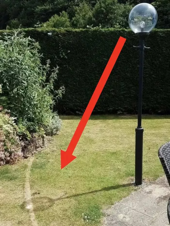 Shocking designs that challenge common sense - #18 This Lighting Fixture Burned The Grass And Could Cause Other Fires Shocking designs that challenge common sense - #18 This Lighting Fixture Burned The Grass And Could Cause Other Fires