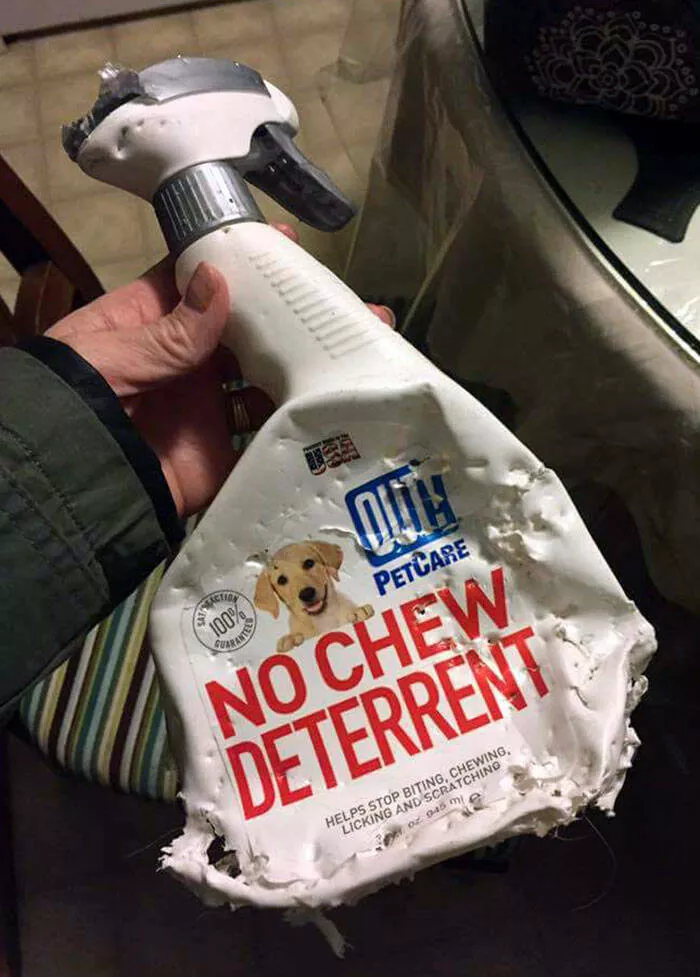 Irony at its peak - #17 