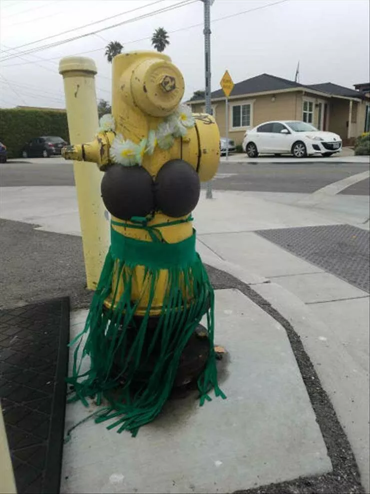 Picdump 940 - #19 