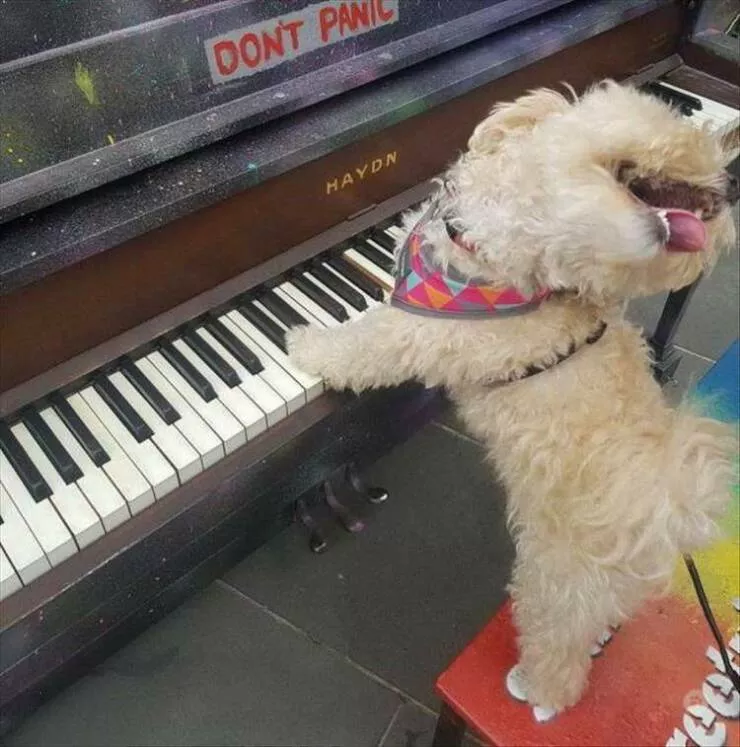 Picdump 940 - #21 