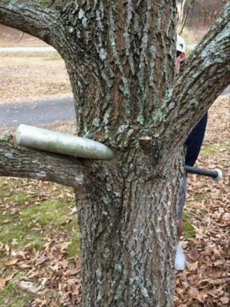 Picdump 940 - #37 