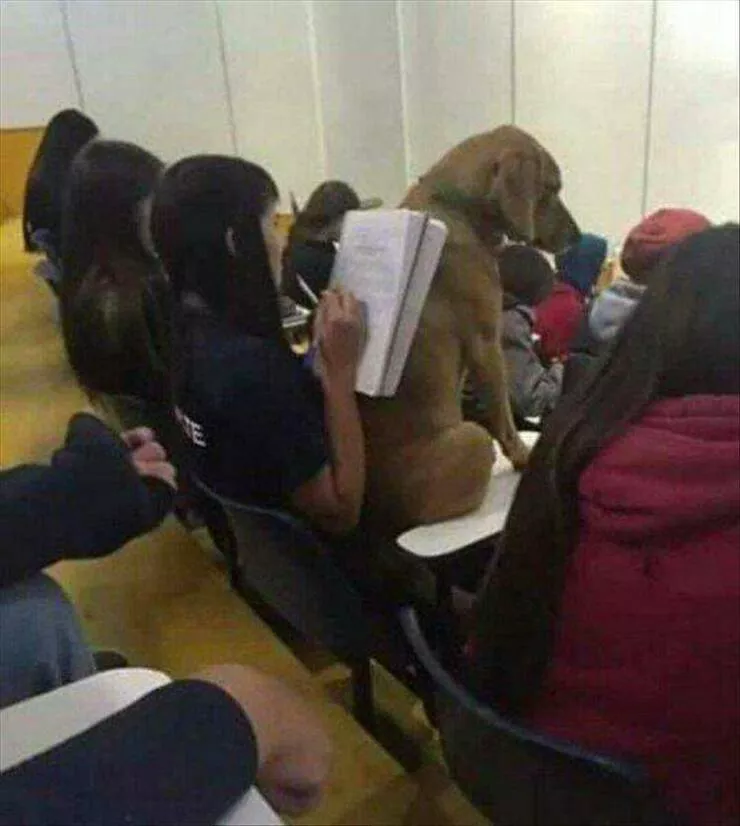 Picdump 940 - #6 