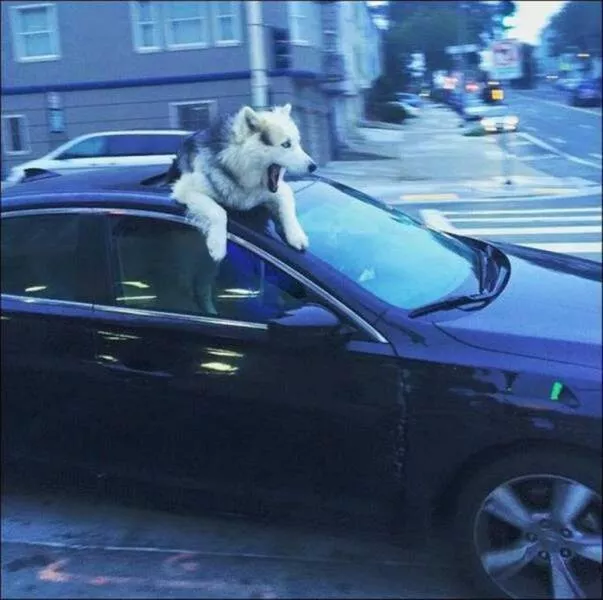 Picdump 940 - #9 