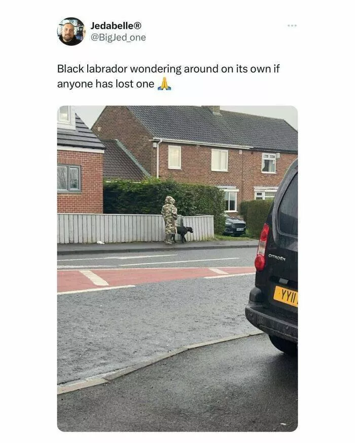 Scottish humor at its finest - #16 