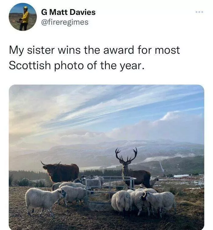 Scottish humor at its finest - #3 
