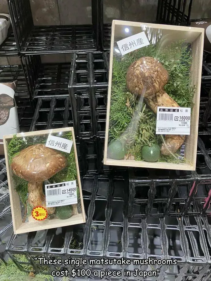 Picdump 941 - #24 