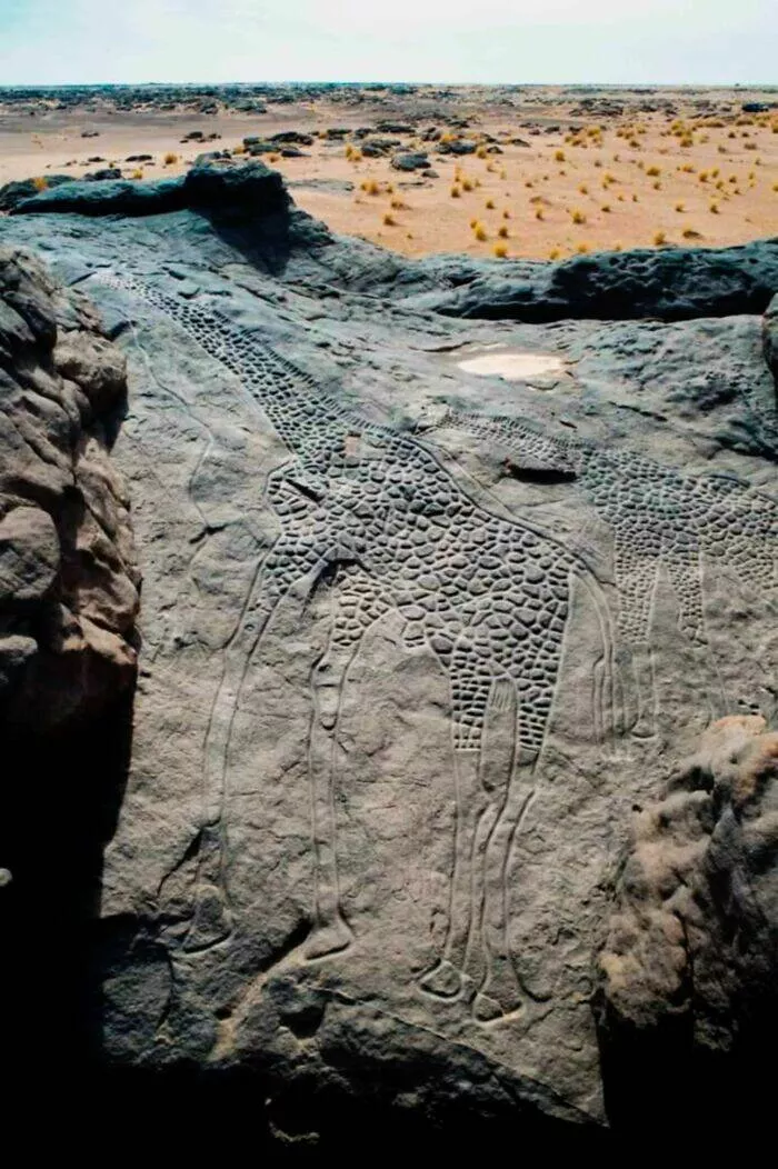 Photos et histoires fascinantes de lhistoire - #17 Des Artistes Anciens Ont Sculpté Une Scène Dans Les Rochers De Ce Qui Est Aujourd'hui Le Désert Nigérien, Il Y A Plus De 9 000 Ans, Quand Le Sahara Était Une Savane Florissante