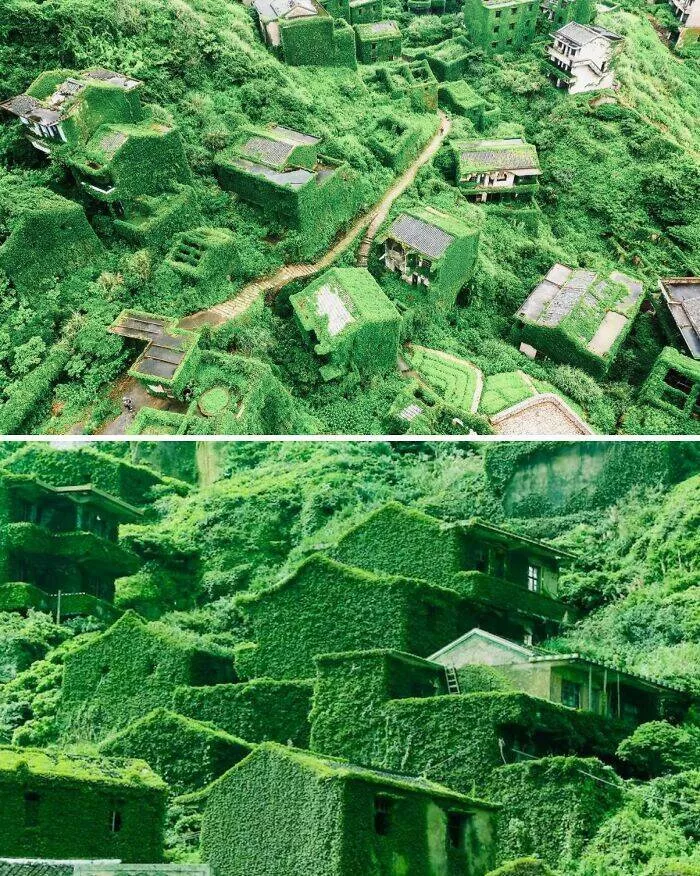 Photos et histoires fascinantes de lhistoire - #20 Houtouwan, Un Village De Pêche Florissant Sur L'île De Shengshan, Est Aujourd'hui Un Exemple Spectaculaire De La Nature Reprenant Les Espaces Humains