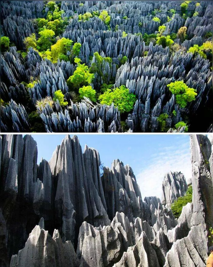 Captivating photos and untold stories from history - #33 The Shilin Stone Forest In Yunnan, China, Is A Labyrinth Of Towering Limestone Pillars Spanning 180 Square Miles