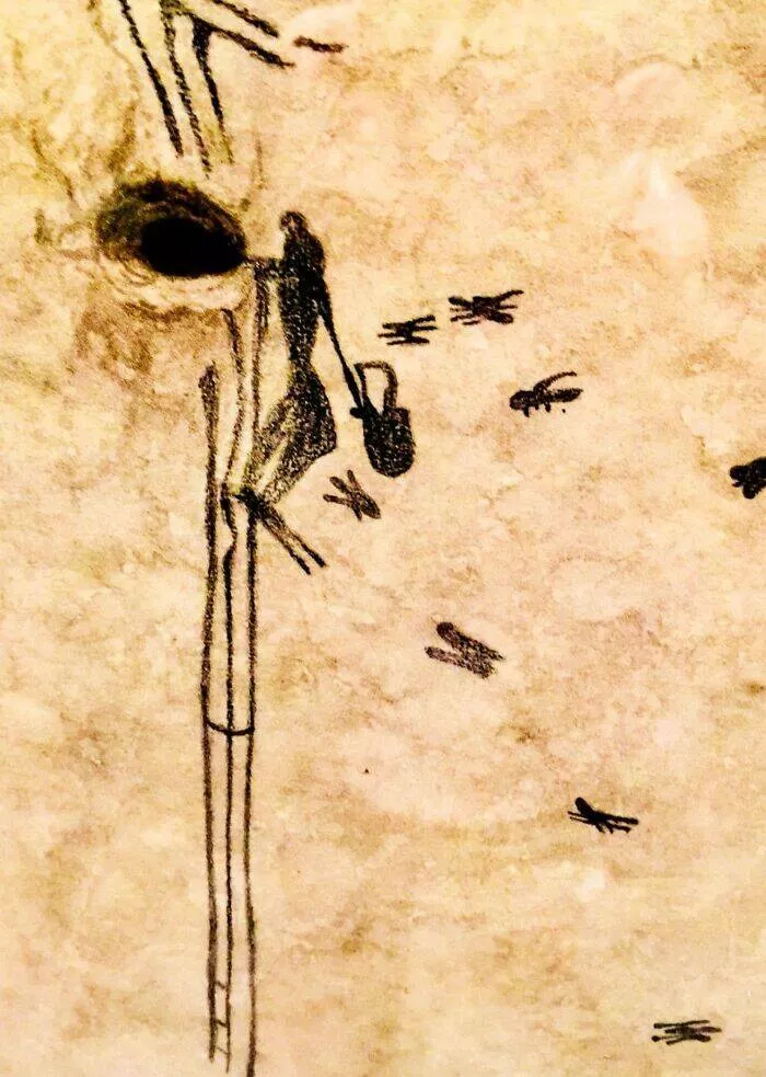 Captivating photos and untold stories from history - #5 The Oldest Evidence Of Honey Collecting, Found In Cuevas De La Araña, Spain, Dates Between 8,000 To 10,000 Years Ago Captivating photos and untold stories from history - #5 The Oldest Evidence Of Honey Collecting, Found In Cuevas De La Araña, Spain, Dates Between 8,000 To 10,000 Years Ago