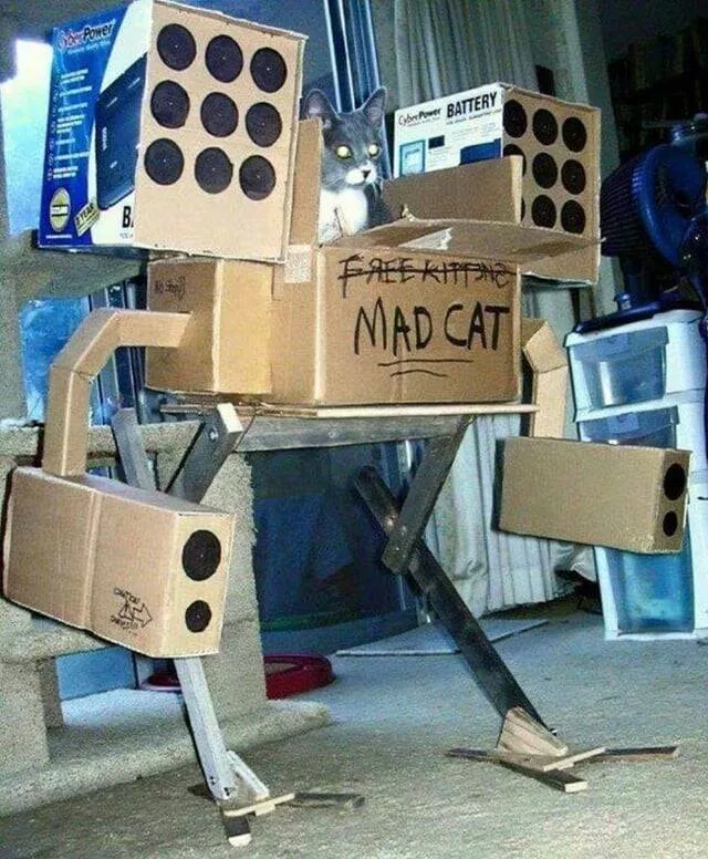 Picdump 942 - #12 
